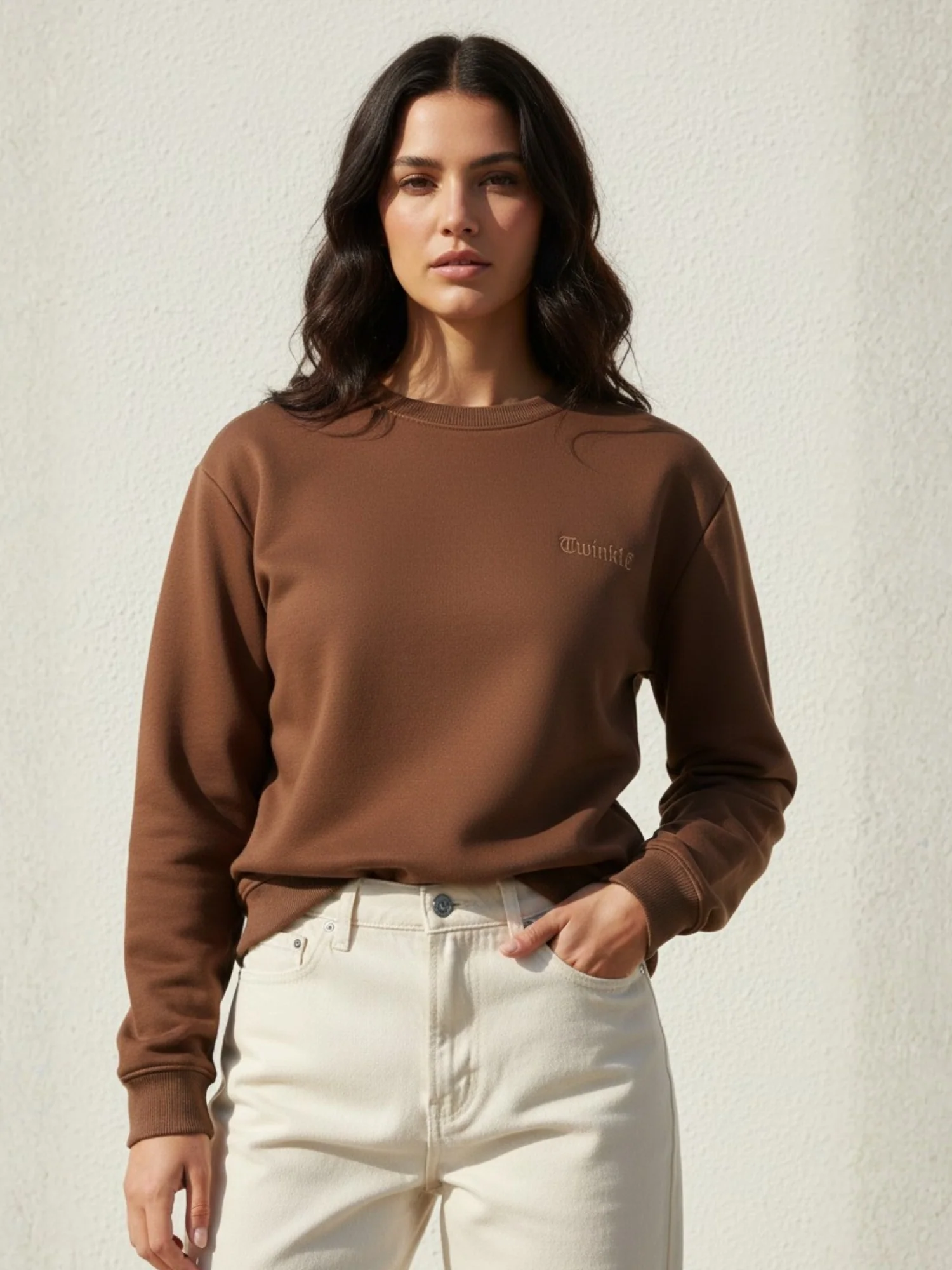 Brown Full Sleeve Crew Neck Typography Fleece Sweatshirt